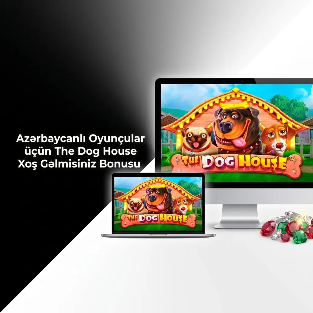 Mostbet 125% xoş gəlmisiniz bonusu - The Dog House slotunda 10.000 ₼-a qədər qazanın