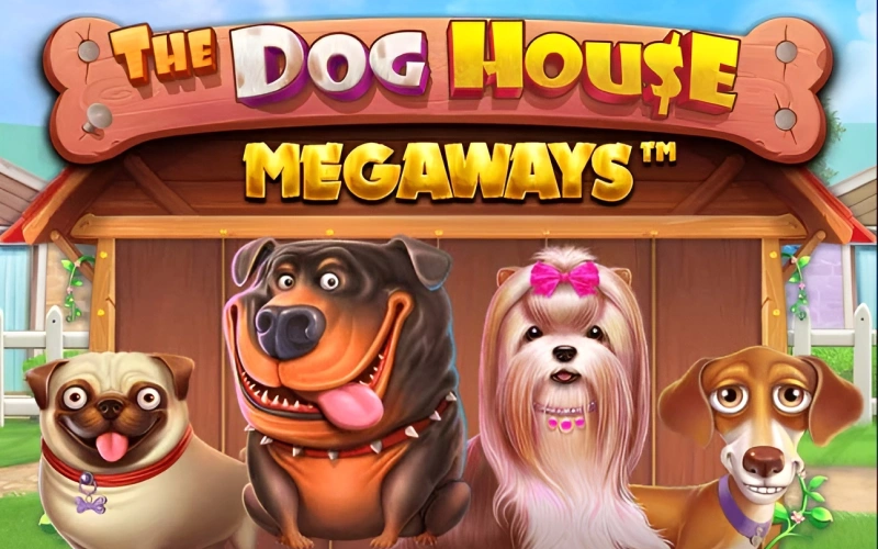 Mostbet kazinosunda The Dog House Megaways ilə bəxtinizi sınayın.
